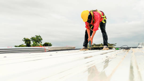 Best Roof Maintenance and Cleaning  in Waldron, AR